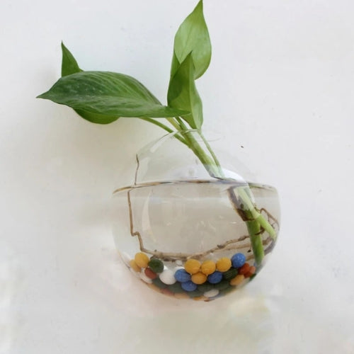 Vase en verre suspendu - Vase murale à fleurs - Lysea™