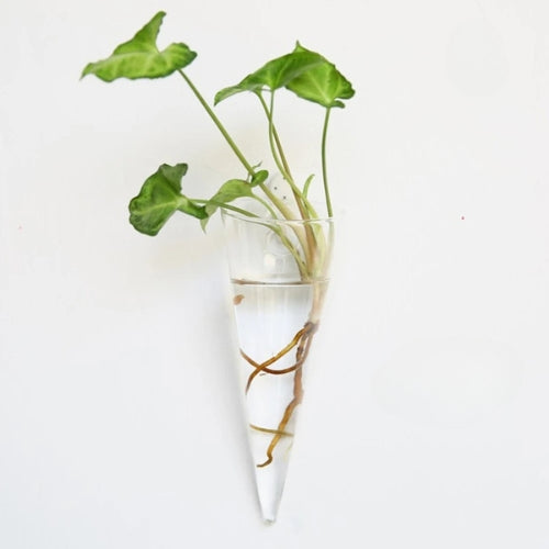 Vase en verre suspendu - Vase murale à fleurs - Lysea™