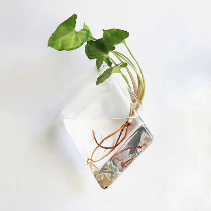 Vase en verre suspendu - Vase murale à fleurs - Lysea™