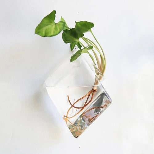 Vase en verre suspendu - Vase murale à fleurs - Lysea™