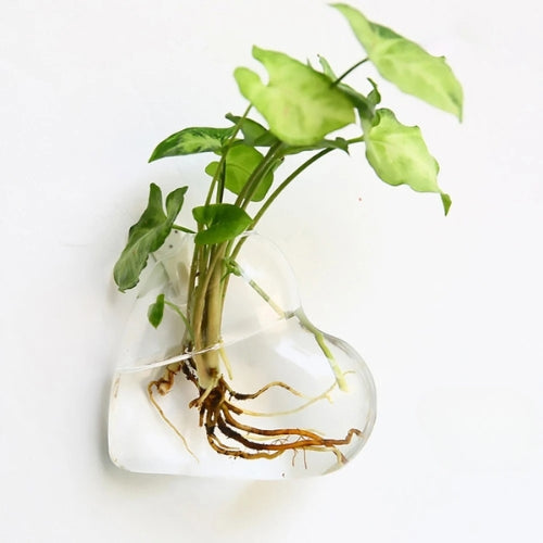 Vase en verre suspendu - Vase murale à fleurs - Lysea™